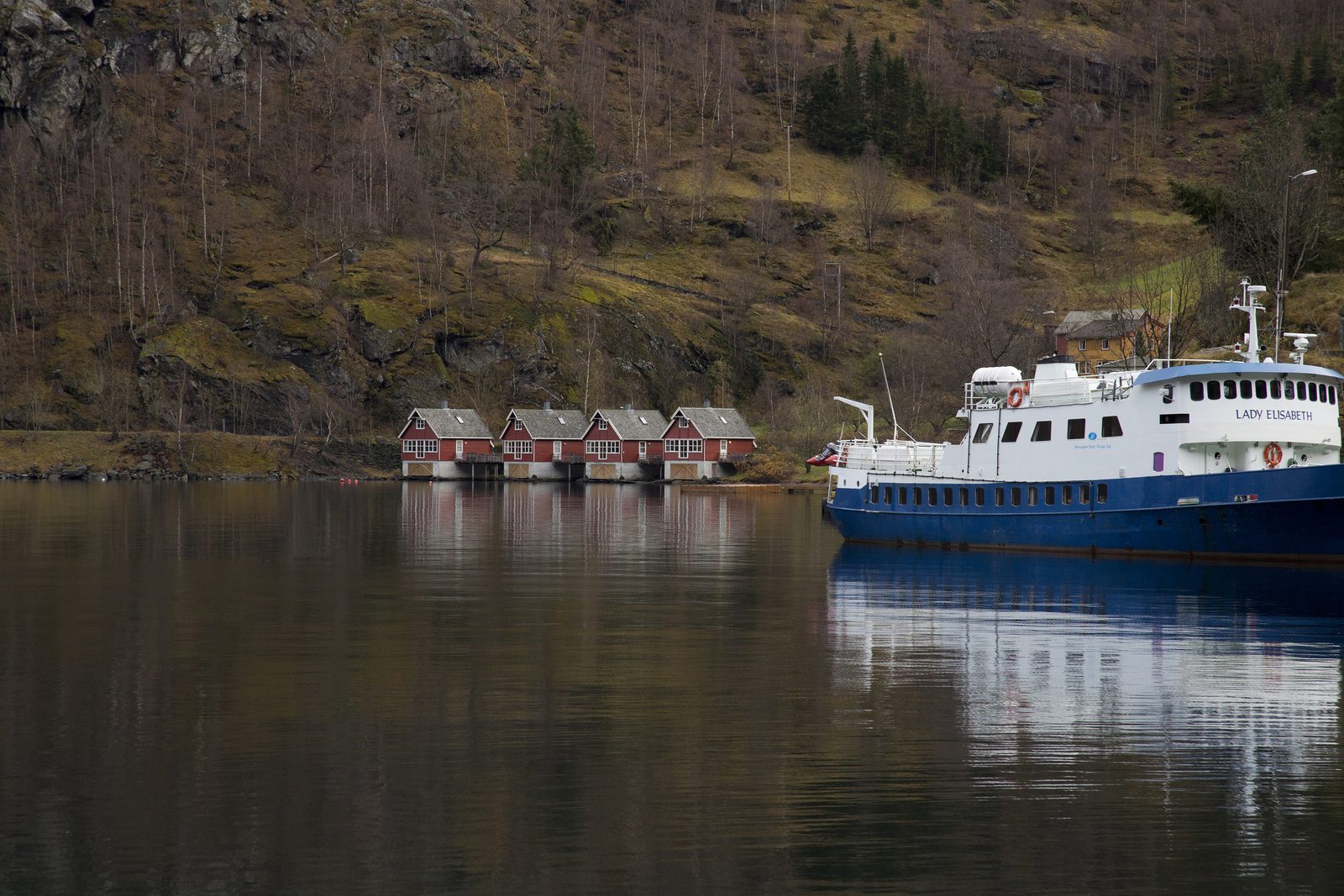 Fiordes da Noruega, por Sylvia Nogueira Cury